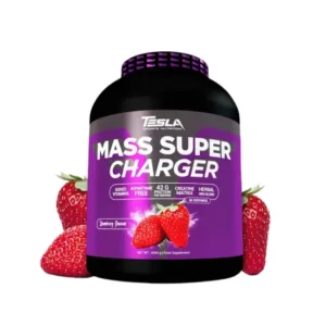 Tesla Mass Super Charger 2,27kg