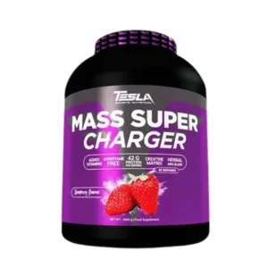 tesla mass super charger 4,5kg