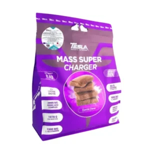 Tesla Mass Super Charger 8kg